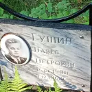 Захоронение ID 1263981