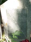 Захоронение ID 1264290