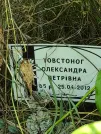 Захоронение ID 1264454