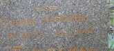 Захоронение ID 1264494