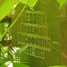 Захоронение ID 1264504