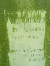 Захоронение ID 1264572