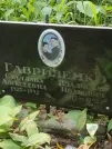 Захоронение ID 1264662
