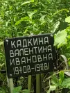Захоронение ID 1264685