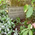Захоронение ID 1264820