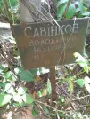 Захоронение ID 1264916