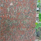 Захоронение ID 1264977