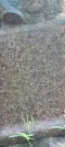 Захоронение ID 1265073