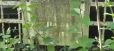 Захоронение ID 1265082