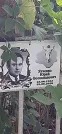Захоронение ID 1265667