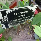 Захоронение ID 1265931