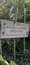 Захоронение ID 1266148