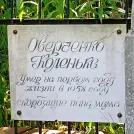 Захоронение ID 1266183