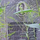 Захоронение ID 1266451