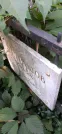 Захоронение ID 1266841