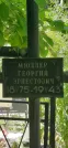 Захоронение ID 1267006