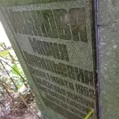 Захоронение ID 1267009