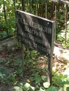 Захоронение ID 1267197