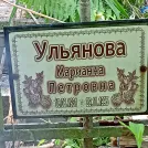 Захоронение ID 1267221