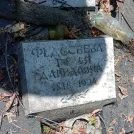 Захоронение ID 1267266