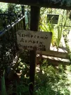 Захоронение ID 1267322