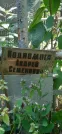 Захоронение ID 1267328