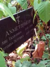 Захоронение ID 1267509
