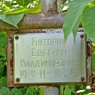 Захоронение ID 1267700