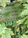 Захоронение ID 1268149
