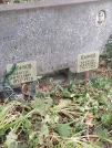Захоронение ID 1268173