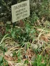 Захоронение ID 1268183