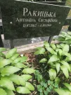Захоронение ID 1268194