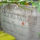 Захоронение ID 1268248
