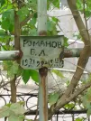 Захоронение ID 1268261