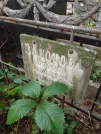 Захоронение ID 1268310