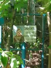 Захоронение ID 1268424