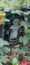 Захоронение ID 1268454