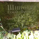 Захоронение ID 1268559