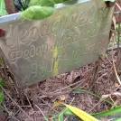 Захоронение ID 1268745