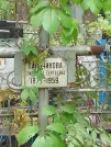 Захоронение ID 1268802