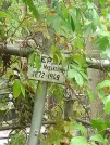Захоронение ID 1268811