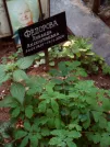 Захоронение ID 1270141