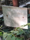 Захоронение ID 1270464