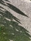Захоронение ID 1270577