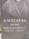 Захоронение ID 1270927