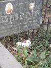 Захоронение ID 1271960