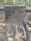 Захоронение ID 1272054