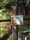 Захоронение ID 1272084