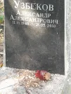 Захоронение ID 1272110