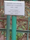 Захоронение ID 1272149